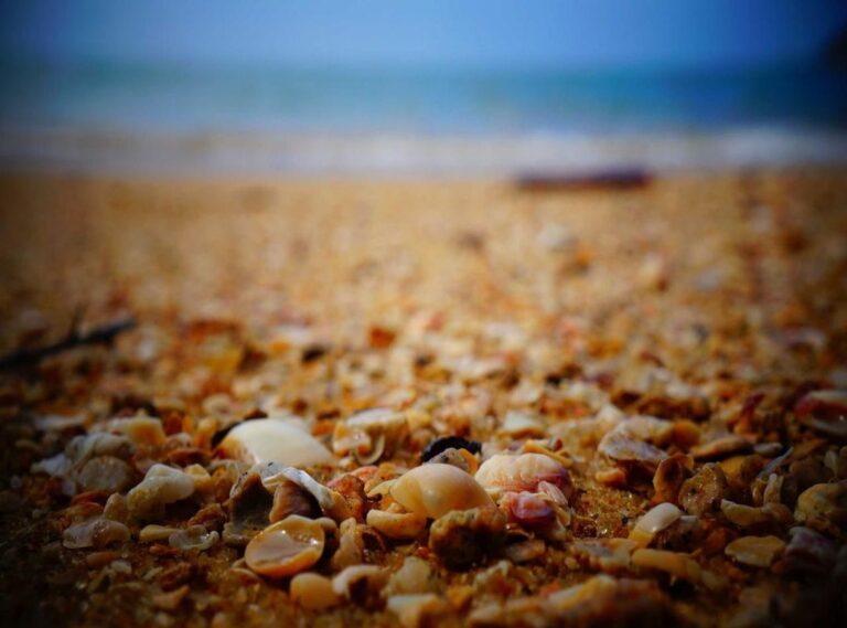 antebrazo:i_bkbab0t2w= tatuajes para hombres