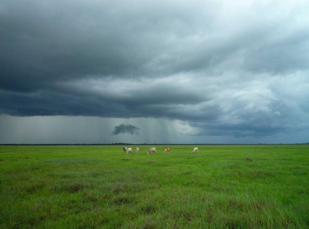 Safer Alternatives: Getting Classic Avatars Officially