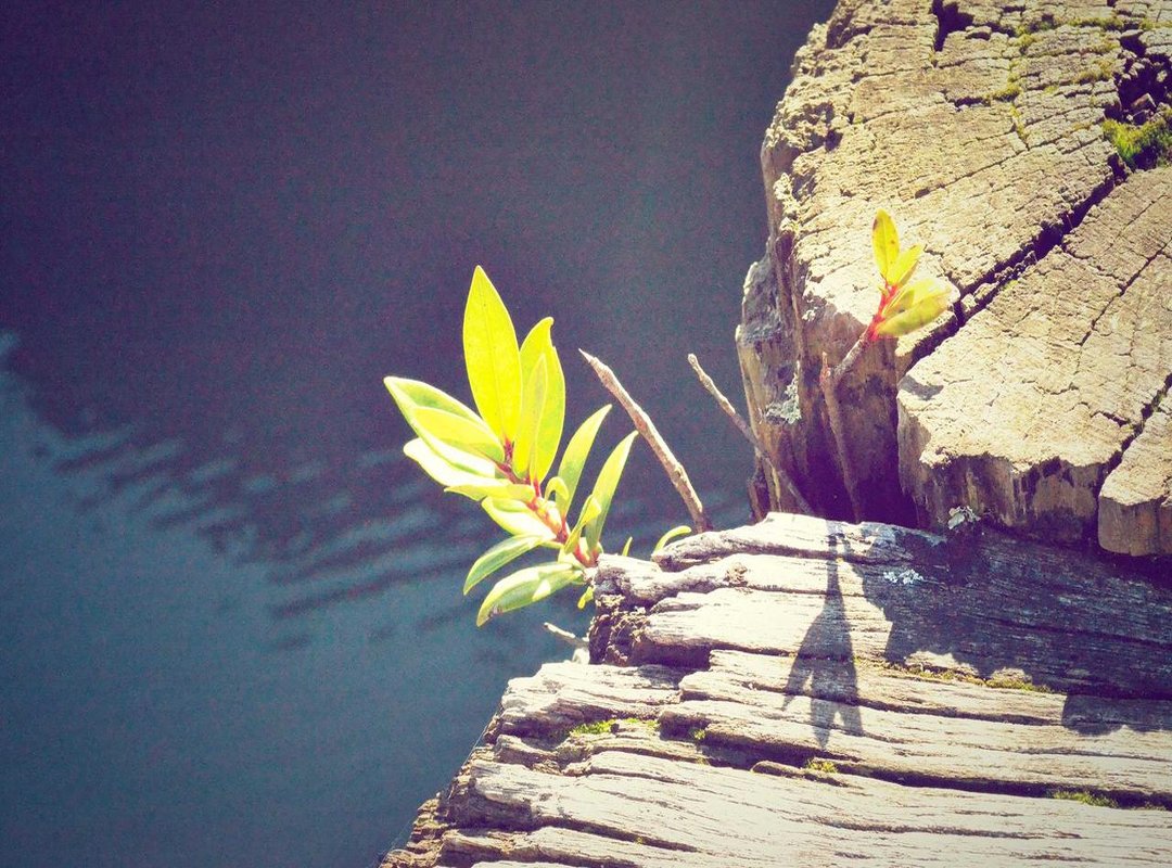 Personal Life: Marriage and Motherhood