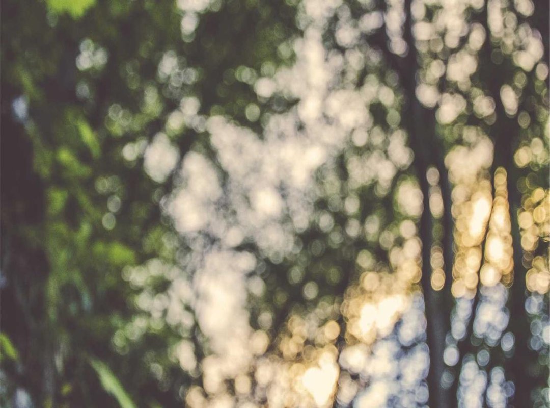 How 'GYAT' Is Used in Real Life: Examples and Context