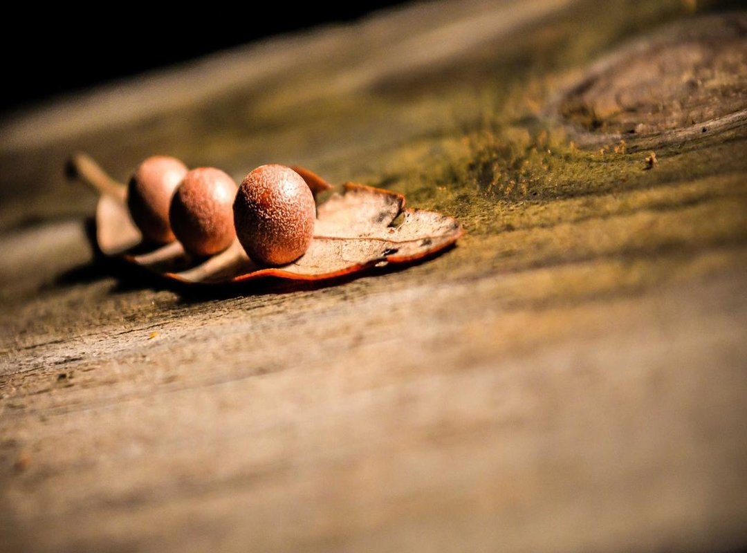 Meet the Main Characters: Dilan and Baran