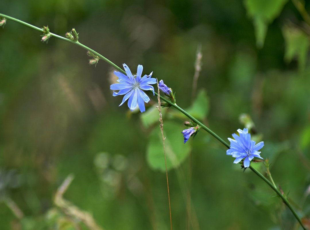 kids toughest questions