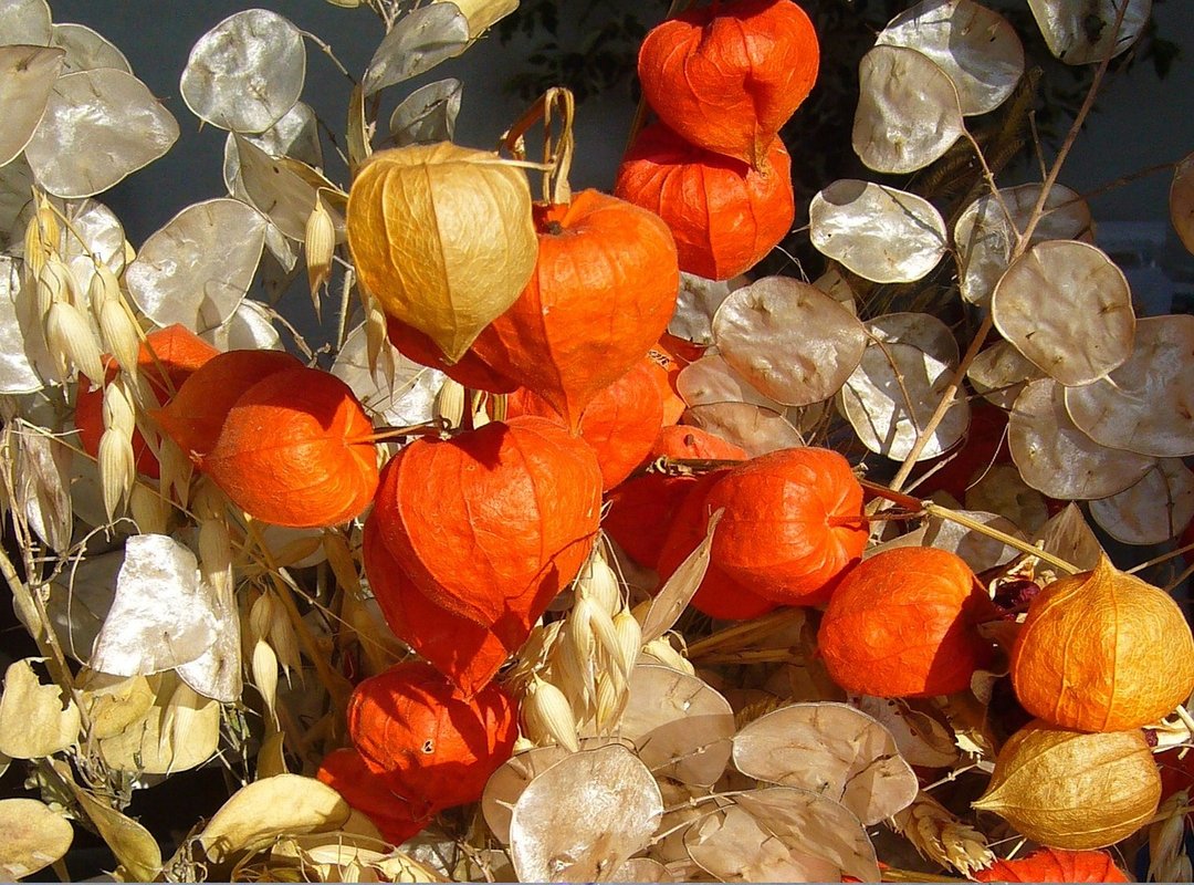 Why This Unflinching Honesty Resonates So Deeply