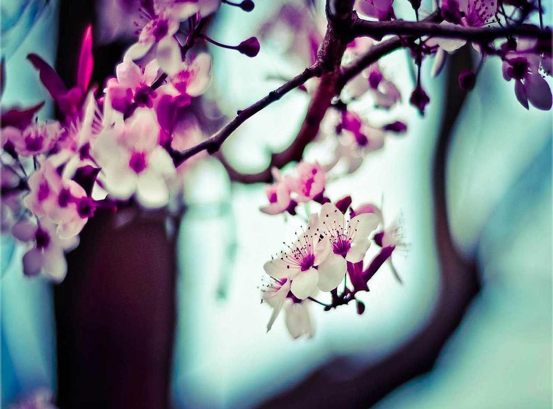 Weighing the Decision: Key Pros and Cons