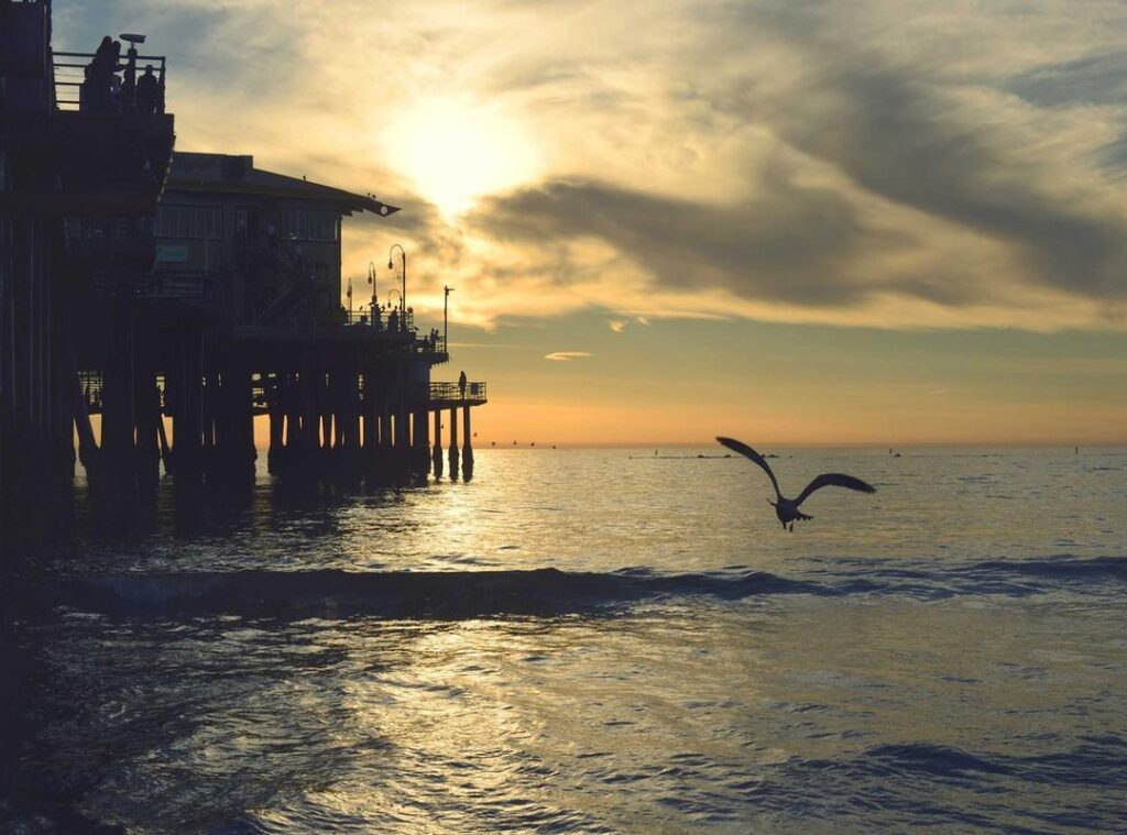 tatuajes para la cola pequeños