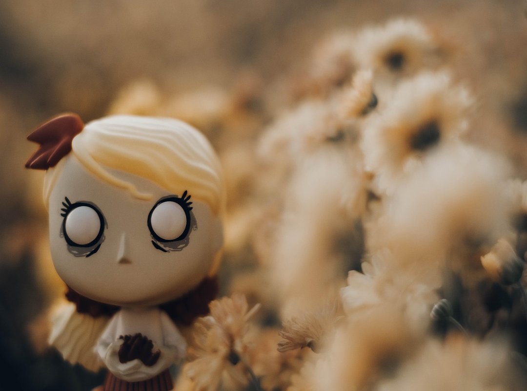 Toys Made From Zodinatin