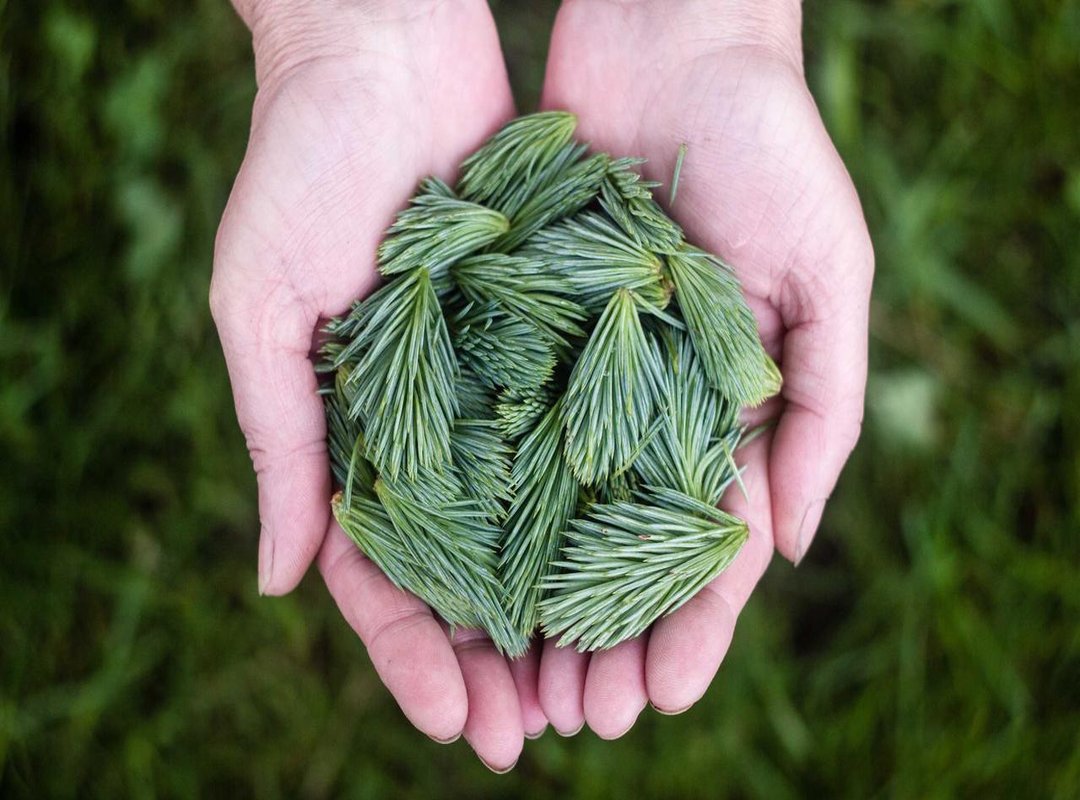 Beyond the App Store: Unique Sources for Artisan Designs